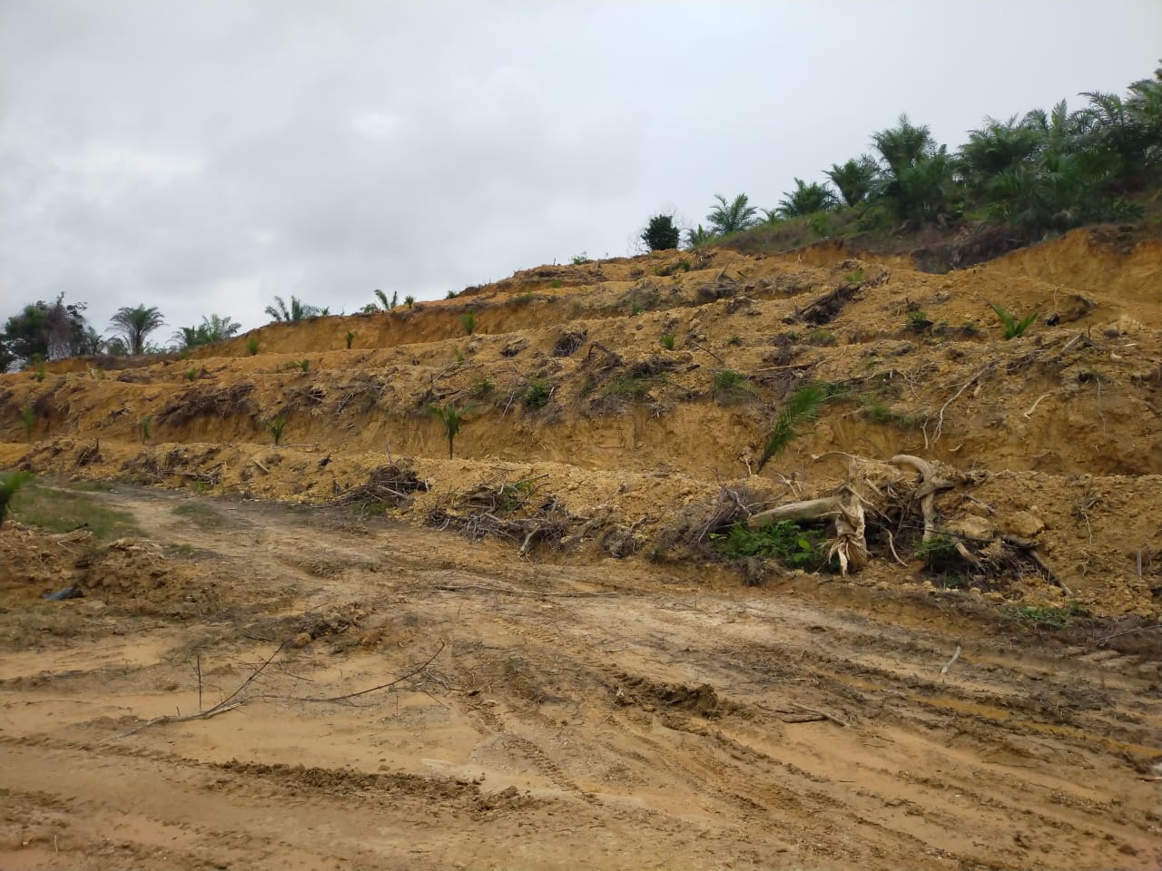 Tanah Relokasi Perumahan Korban Gempa Tahun 2005 di Desa Cibubukan Diduga Dijual Pihak Ketiga