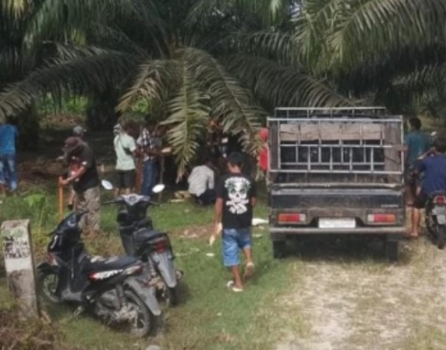 DPRK Aceh Singkil Akan Selidiki Klaim Masyarakat Atas Lahan di Luar HGU PT PLB